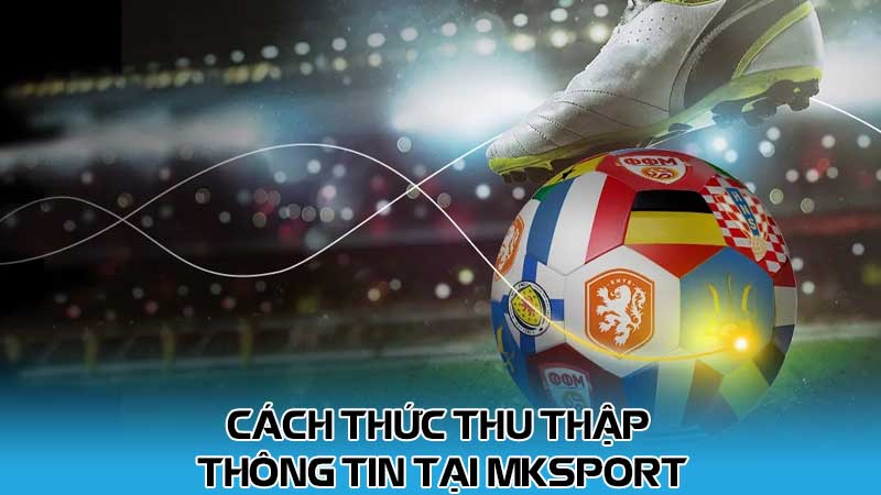 Cách thức thu thập thông tin tại MKsport