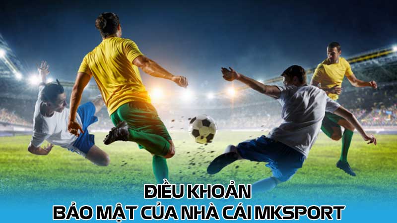 Điều khoản bảo mật của nhà cái MKsport