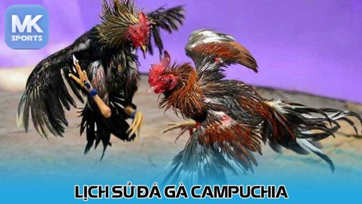 Lịch sử đá gà Campuchia