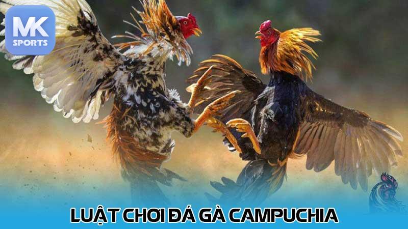 Luật chơi đá gà Campuchia